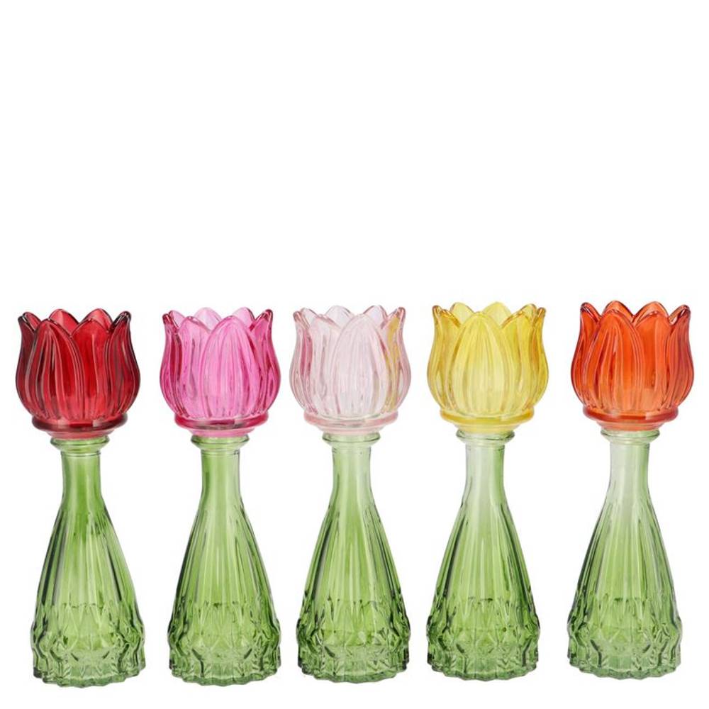 Glas Vase Tulpe multi mix 07x18cm