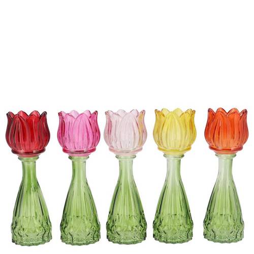 Glas Vase Tulpe multi mix 07x18cm