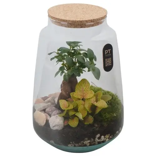 Flor.Arr PTTER8135 T21 H026