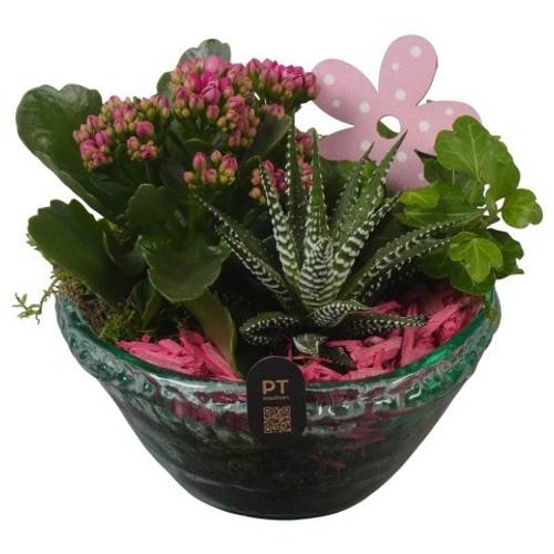 Kal.Arr PTIG2632 T15 H018