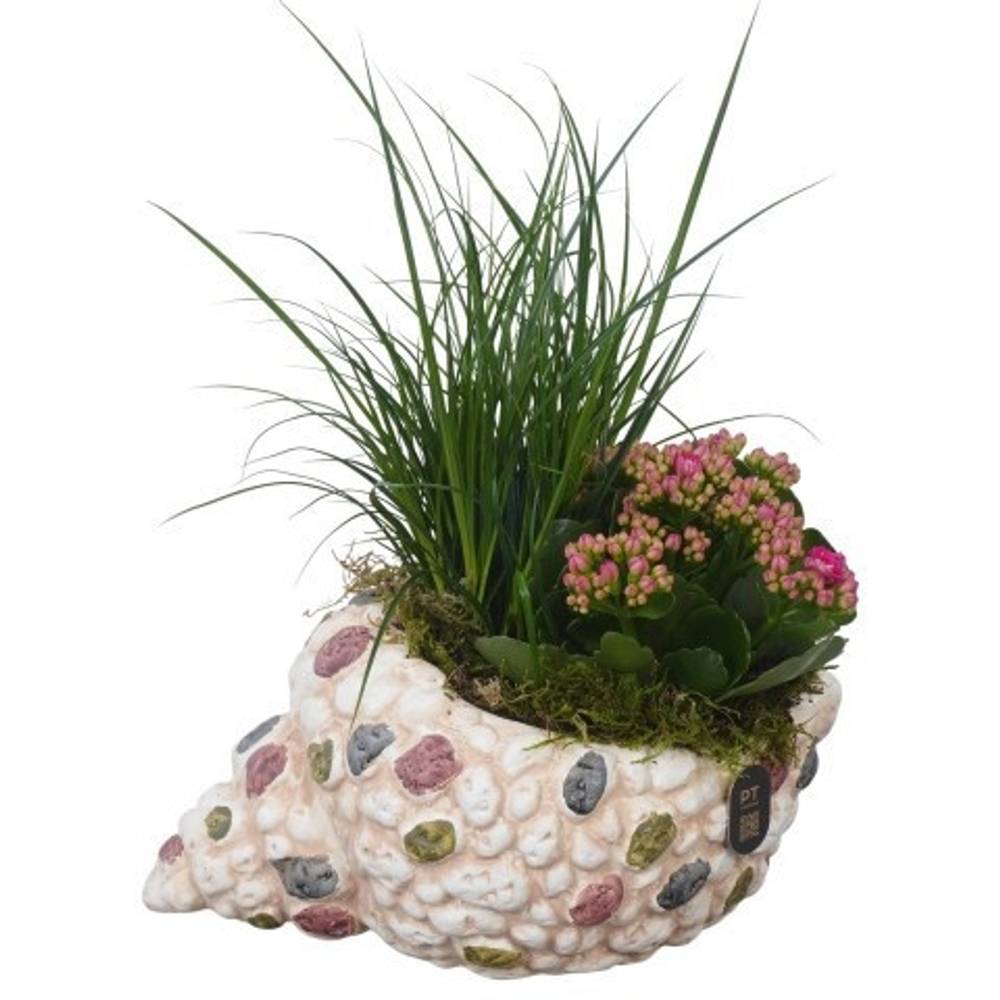 Garten.Arr PTPP7068 T23 H024