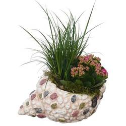 Garten.Arr PTPP7068 T23 H024