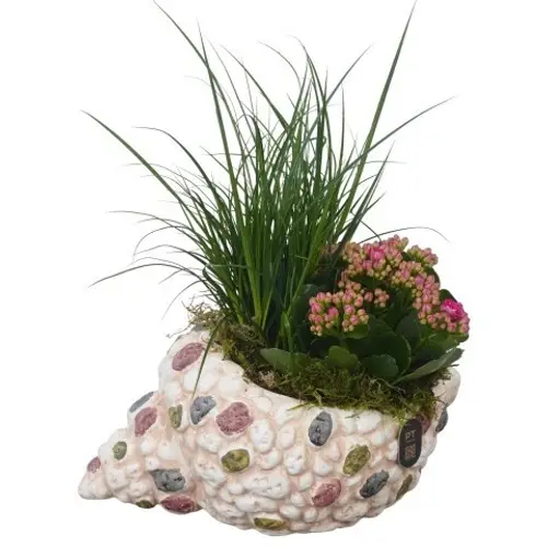 Garten.Arr PTPP7068 T23 H024
