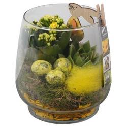 Kal.Arr PTPG9374 Ostern T16 H021