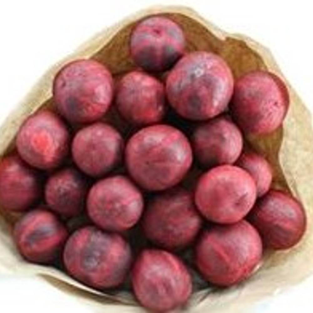 Trocken Deco Ball rot L55cm x20