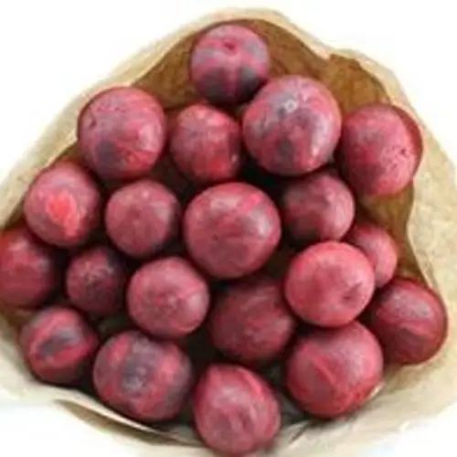 Trocken Deco Ball rot L55cm x20