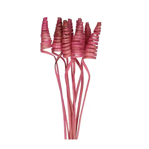 Trocken Cane Cone auf Stab rosa L50cm