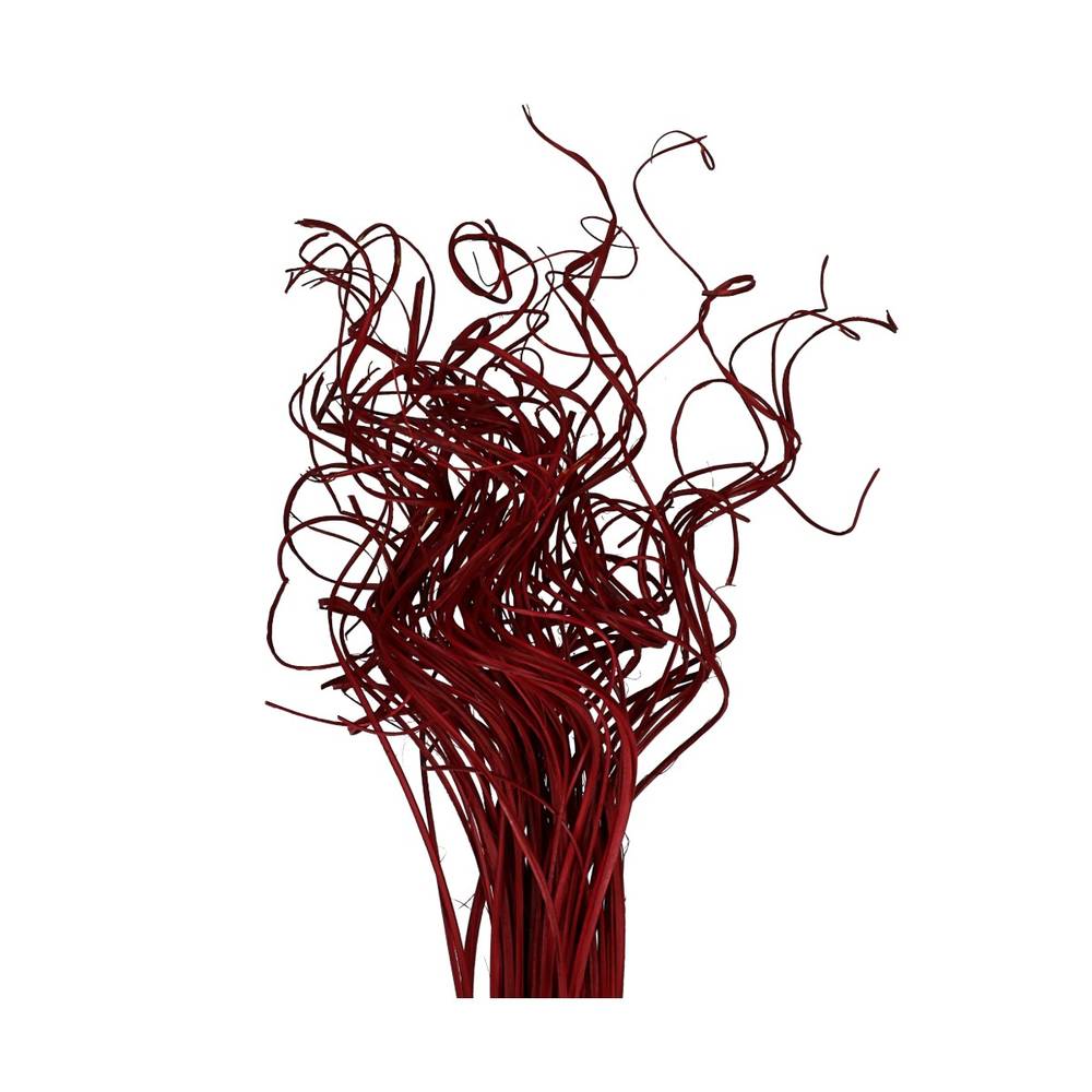Trocken Curly Ting Ting rot 70cm 200gr