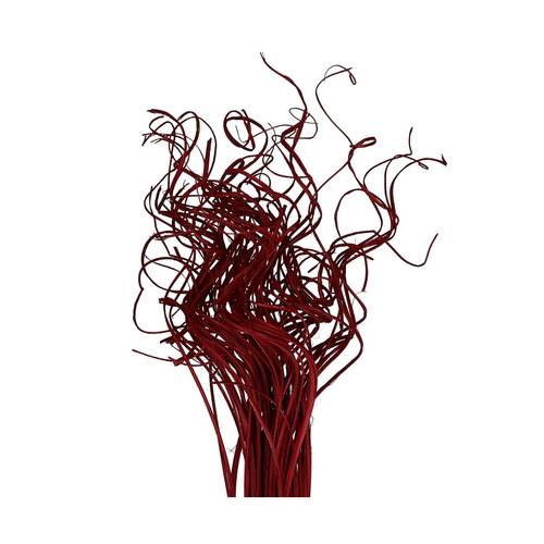 Trocken Curly Ting Ting rot 70cm 200gr