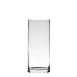 Glas Zylinder (dickes Glas) D12cm H30cm 