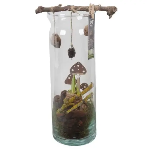 Amaryl.Arr PTAA7594 rote Bl. T12 H038