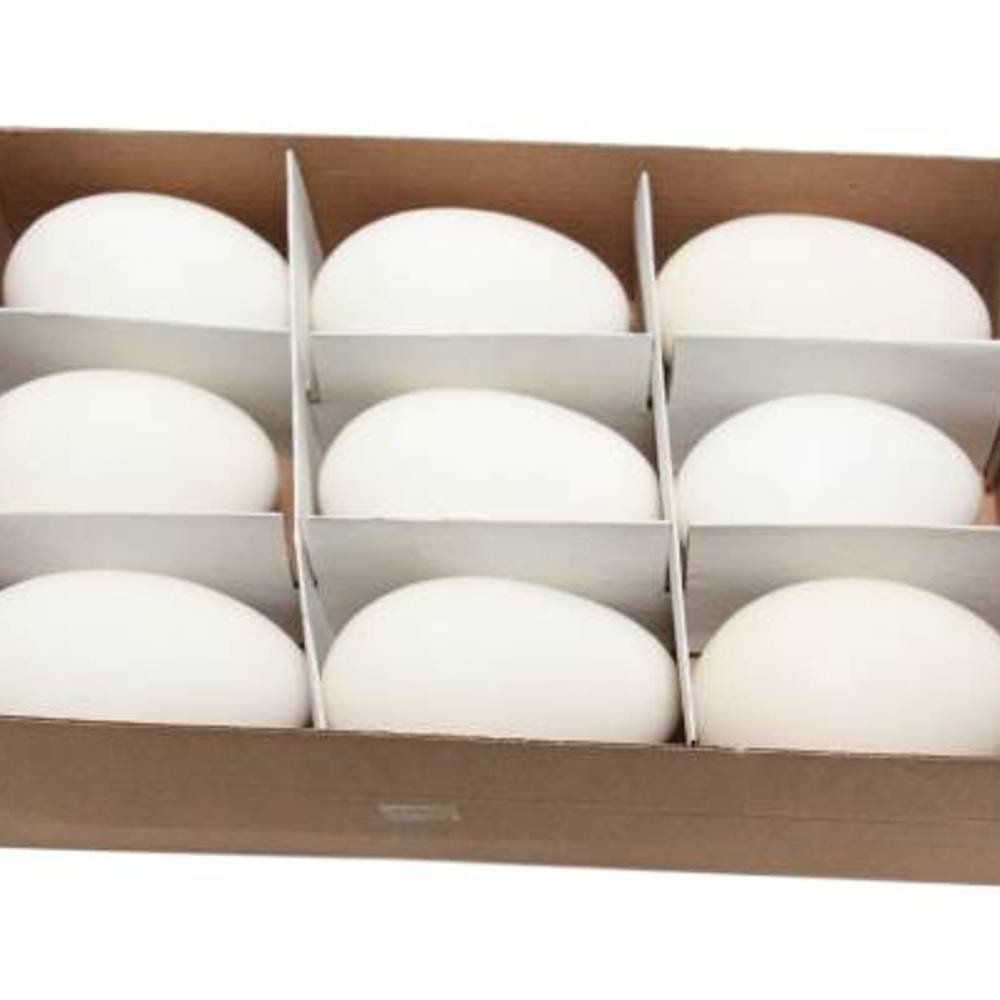 Gänseei naturel 9st