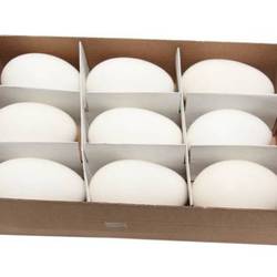 Gänseei naturel 9st