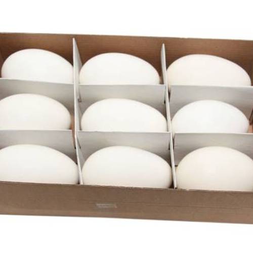 Gänseei naturel 9st