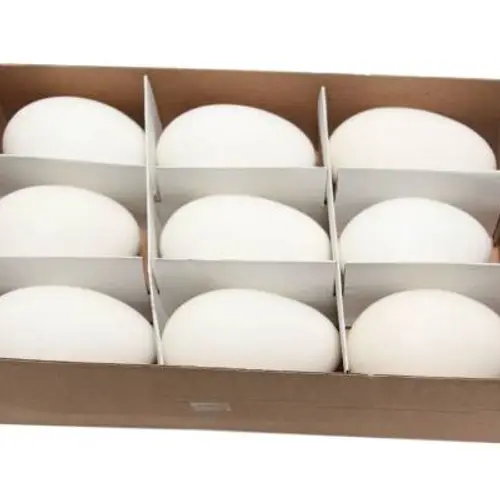 Gänseei naturel 9st