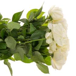 Rose creme Chic White gefüllt 40cm