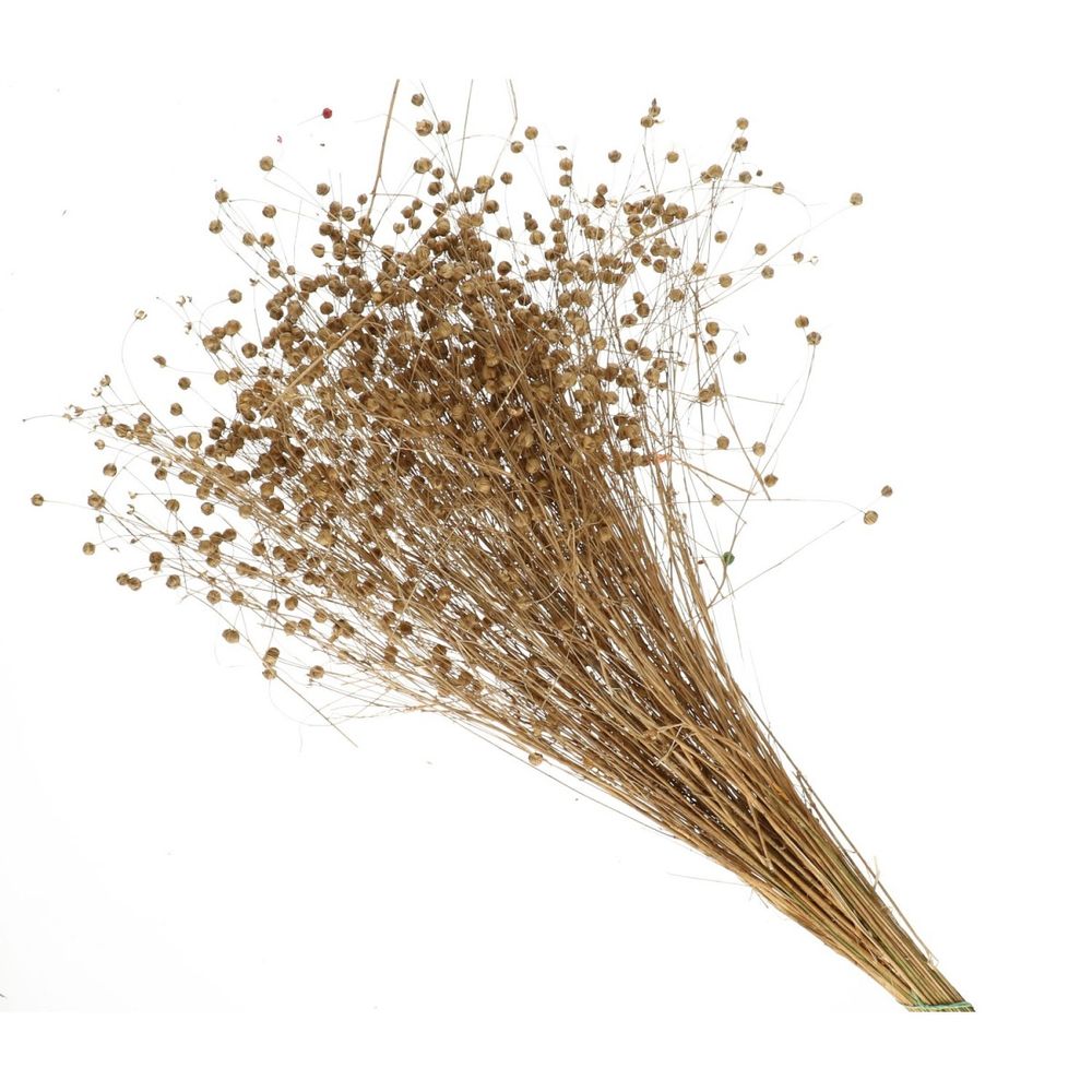 Trocken Lino/Flachs natur L60cm