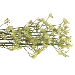 Kangeroo grün Nat.80cm