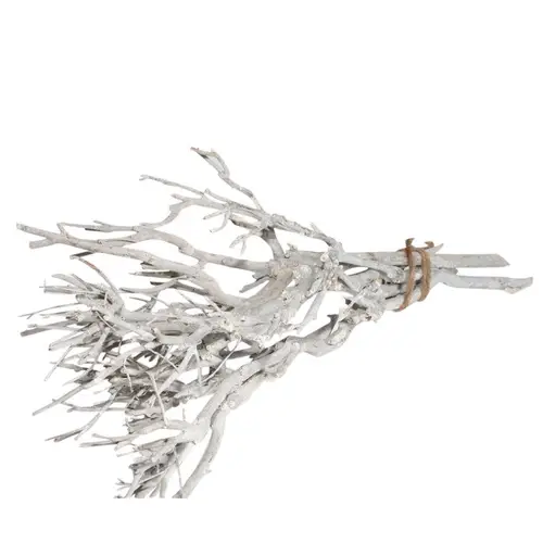 Trocken Zweig Bündel weiss L30-45cm