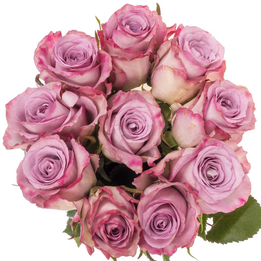 Rose lila Thriller Muttertag 40cm