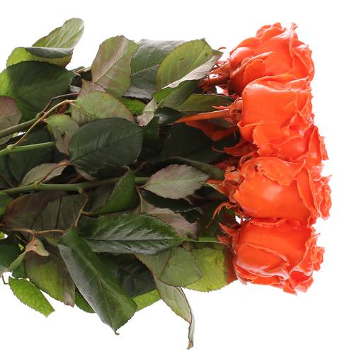 Rose orange Wachs (W6) 60cm