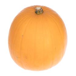 Zierk.Orange Halloween Bol 35-40cm