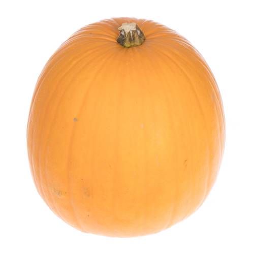 Zierk.Orange Halloween Bol 35-40cm
