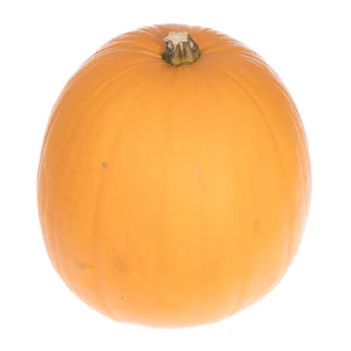 Zierk.Orange Halloween Bol 35-40cm