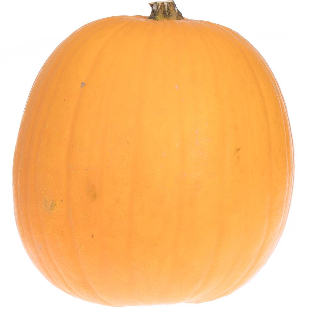 Zierk.Orange Halloween Bol 35-40cm