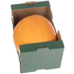 Zierk.Orange Halloween Bol 35-40cm