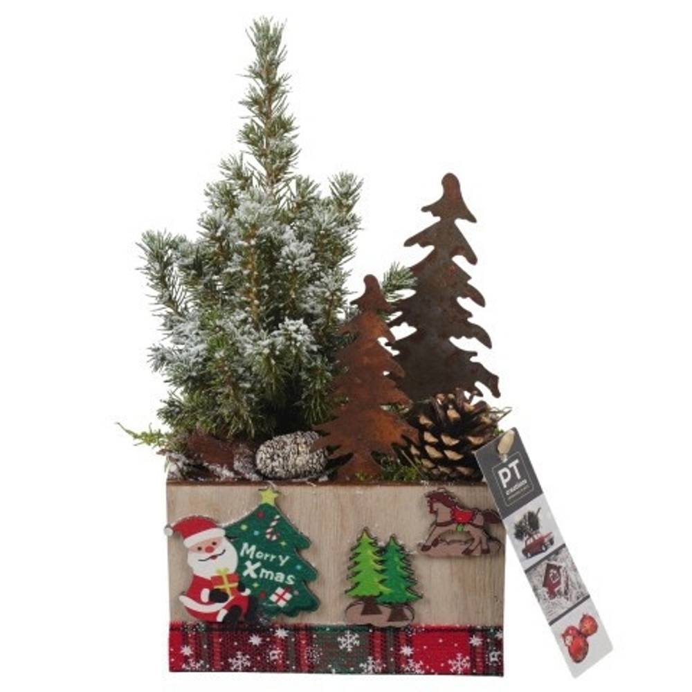 Picea.Arr PTCWW6876 Weihnachten T15 H030