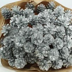 Trocken Zapfen Silber 55cm 40st