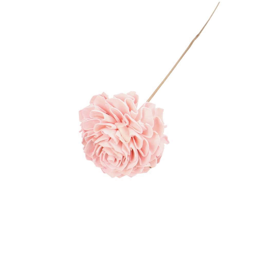 Trocken Dahlia auf Stab hell rosa L50cm D10cm