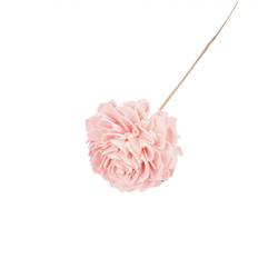Trocken Dahlia auf Stab hell rosa L50cm D10cm