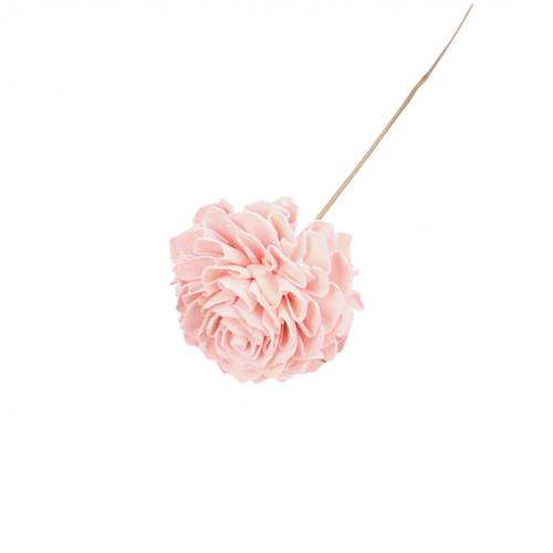 Trocken Dahlia auf Stab hell rosa L50cm D10cm