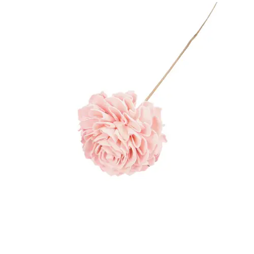 Trocken Dahlia auf Stab hell rosa L50cm D10cm