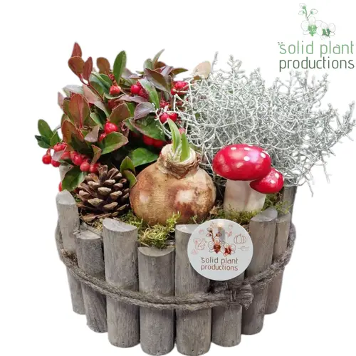 Amaryl.Arr AOH002 Milano Large T22 H022