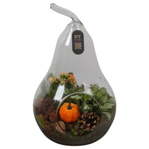 Kal.Arr PTHG3414 Herbst T17 H030