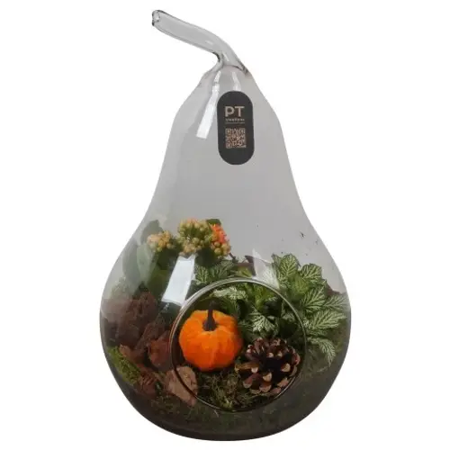 Kal.Arr PTHG3414 Herbst T17 H030