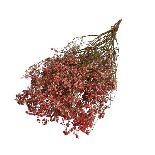 Trocken Gyps rot L70cm 50gr