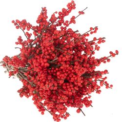 Ilex rot Mag Times 30cm