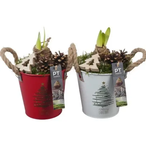 Amaryl.Arr mix PTACH5860 Weihnachten T13 H028