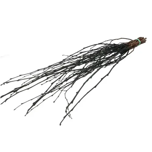 Trocken Zweig Birke schwarz L70cm