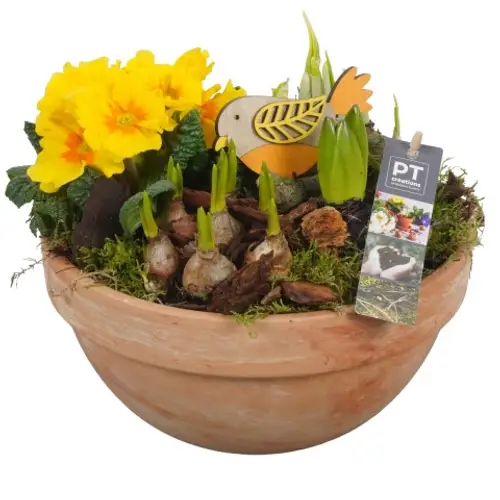 Zwiebel.Arr mix PTBM1440 T23 H022