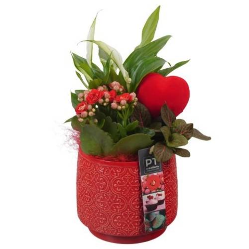 Spath.Arr PTVMB2230 T14 H030