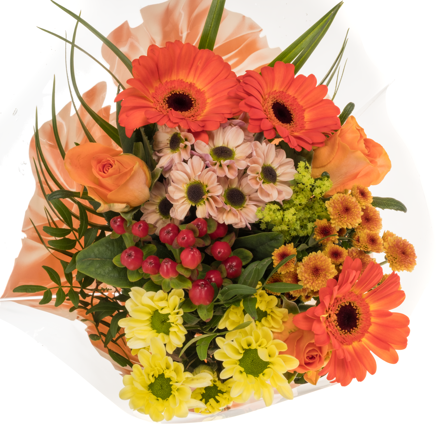 Strauß Raven orange mix 12 Stiele 45cm
