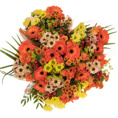Strauß Raven orange mix 12 Stiele 45cm