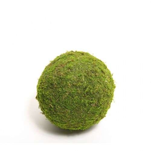 Moos Kugel  8cm