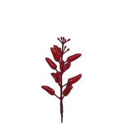 Zweig Pfeffer Stab rot L19cm