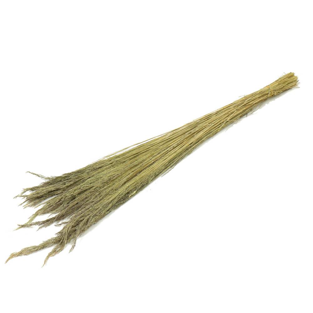 Trocken Erba Grass natur L70cm